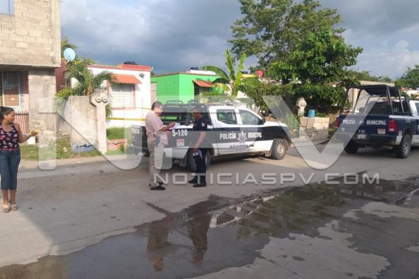 WhatsApp Image 2019-09-03 at 11.01.27 PM (3)