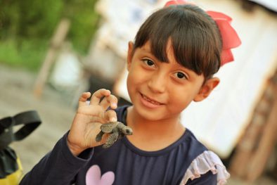 LIBERAN TORTUGAS NIÑOS CAM BUCERIAS DIF (2)