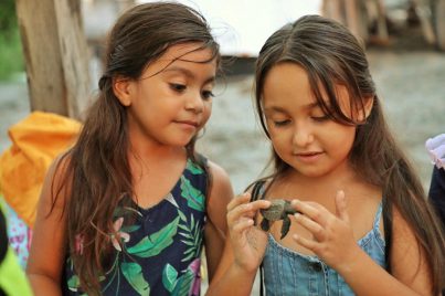 LIBERAN TORTUGAS NIÑOS CAM BUCERIAS DIF (3)