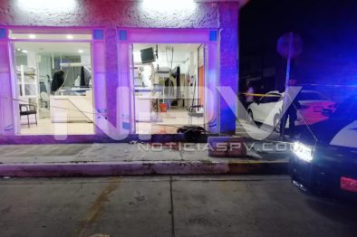 Seguridad Bahia de Banderas ·2730