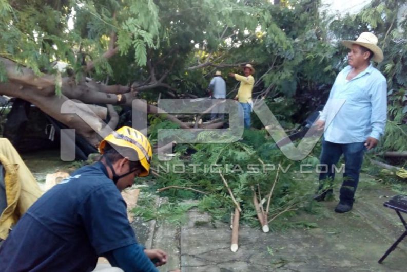 Seguridad Bahia de Banderas ·3015