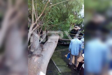 Seguridad Bahia de Banderas ·3016