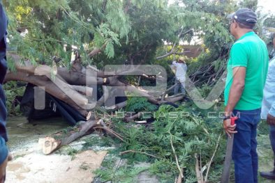 Seguridad Bahia de Banderas ·3023