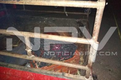 Seguridad Bahia de Banderas ·3207