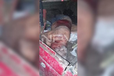 Seguridad Bahia de Banderas ·3219