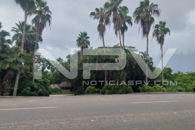 Seguridad Bahia de Banderas ·3422