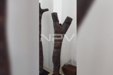 Seguridad Bahia de Banderas ·3424