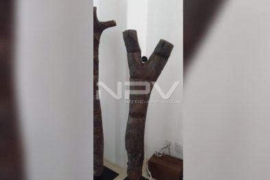 Seguridad Bahia de Banderas ·3424