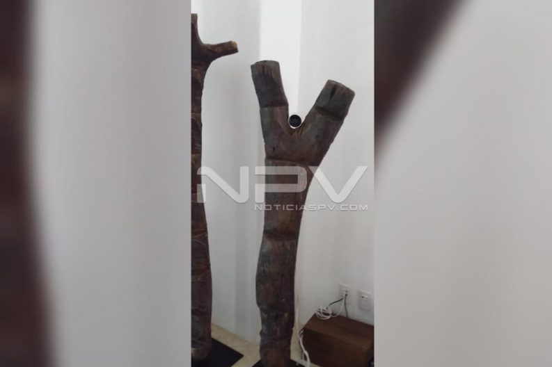 Seguridad Bahia de Banderas ·3424