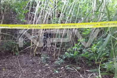 Seguridad Bahia de Banderas ·3434