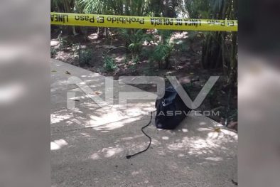 Seguridad Bahia de Banderas ·3435