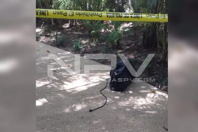 Seguridad Bahia de Banderas ·3435