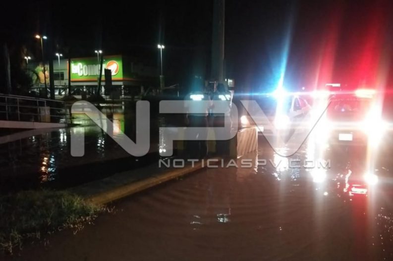 Seguridad Bahia de Banderas ·3587