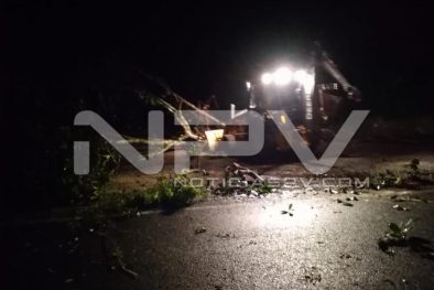 Seguridad Bahia de Banderas ·3803