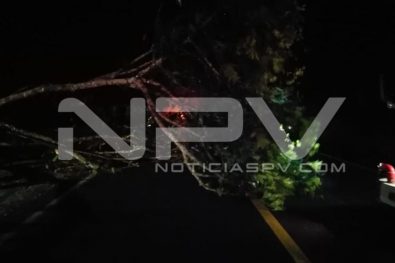 Seguridad Bahia de Banderas ·3804