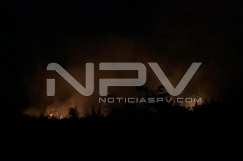 Seguridad Bahia de Banderas ·4850