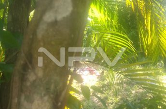 WhatsApp Image 2019-10-05 at 4.52.37 PM