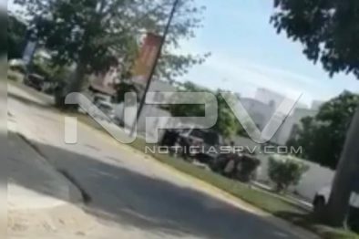 Seguridad Bahia de Banderas ·1563