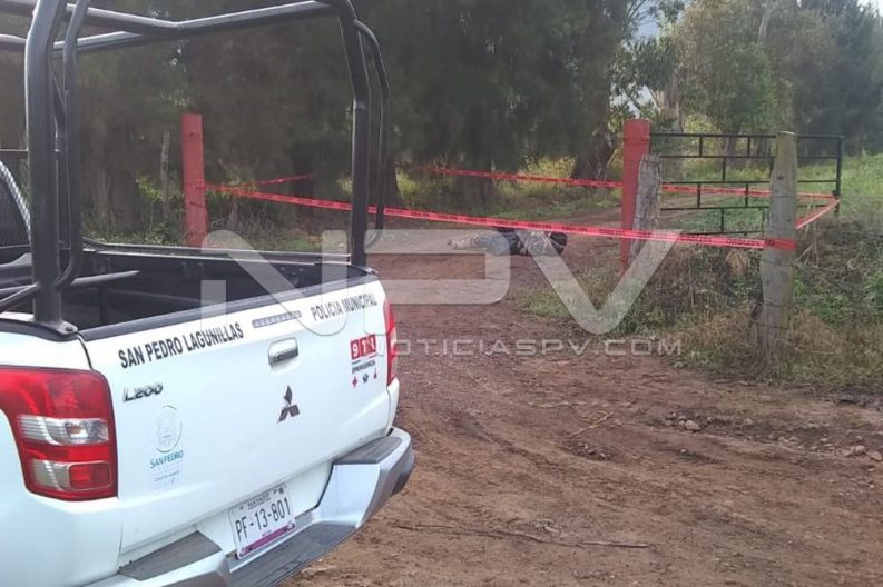 Seguridad Bahia de Banderas ·1624