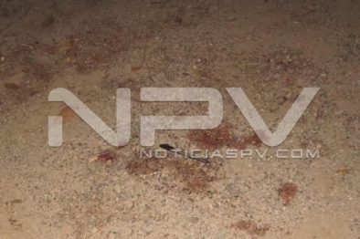 Seguridad Bahia de Banderas ·5184