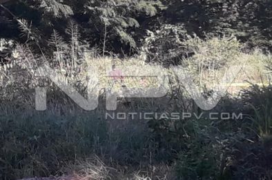 Seguridad Bahia de Banderas ·5326