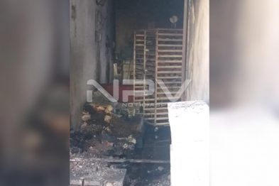 WhatsApp Image 2019-11-07 at 18.41.53