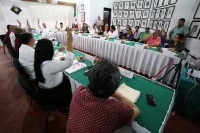 COMUNICADO 1115-Sesión de Ayuntamiento (1)