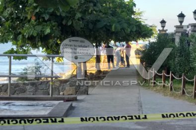 Seguridad Bahia de Banderas ·1893