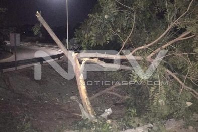 Seguridad Bahia de Banderas ·1956