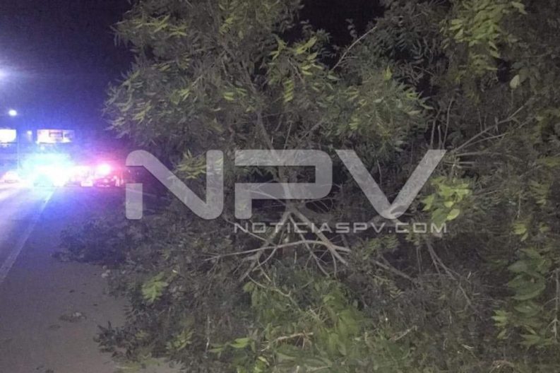 Seguridad Bahia de Banderas ·1959