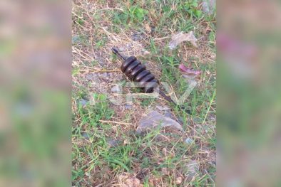 Seguridad Bahia de Banderas ·2908