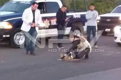 Seguridad Bahia de Banderas ·3047