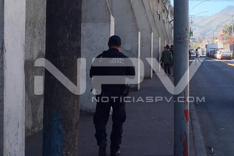 Seguridad Bahia de Banderas ·3301