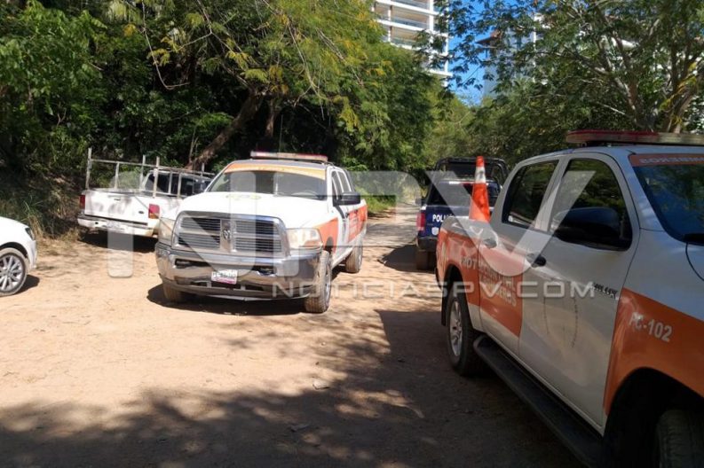 WhatsApp Image 2019-12-25 at 5.06.16 PM