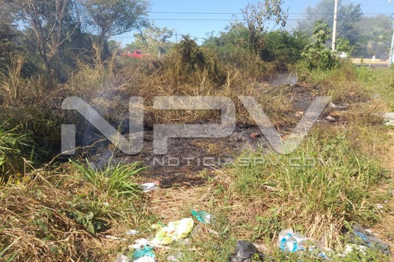 WhatsApp Image 2019-12-25 at 5.57.22 PM (6)