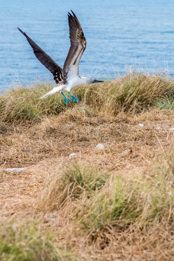 0755c50c-c7a6-4e8a-bd04-2977c7f70694