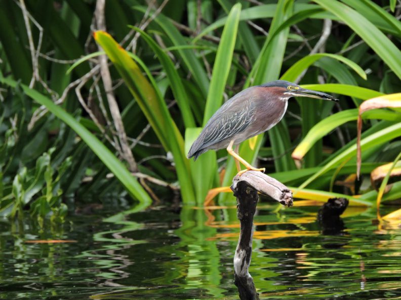 3489c86f-8528-4ef1-aa66-73faa3cb8792