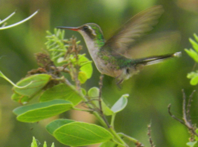 9c6f5eb1-b8d8-45f3-98aa-180330de2f1c