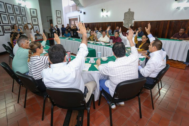 COMUNICADO 1238-Sesión comisiones-limpieza lotes (1)