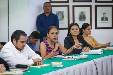 COMUNICADO 1238-Sesión comisiones-limpieza lotes (7)