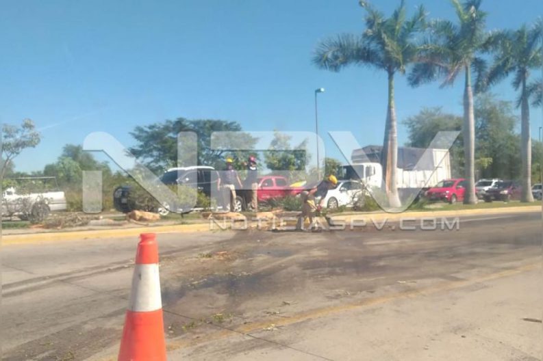 SEGURIDAD2227