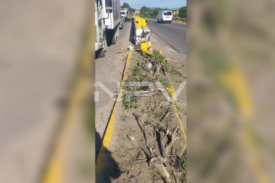 Seguridad Bahia de Banderas ·3977