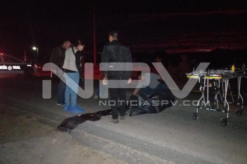 Seguridad Bahia de Banderas ·3990