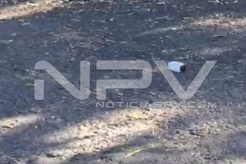 Seguridad Bahia de Banderas ·4449