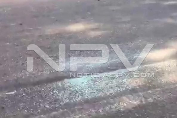 Seguridad Bahia de Banderas ·4454