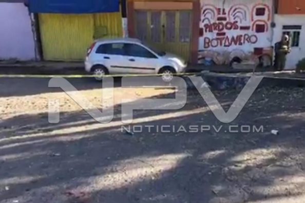 Seguridad Bahia de Banderas ·4458