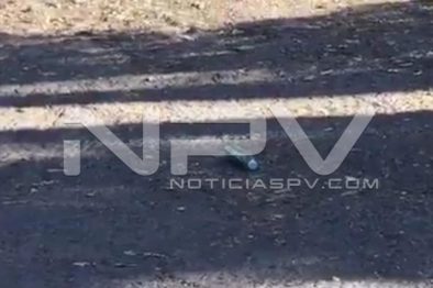 Seguridad Bahia de Banderas ·4467