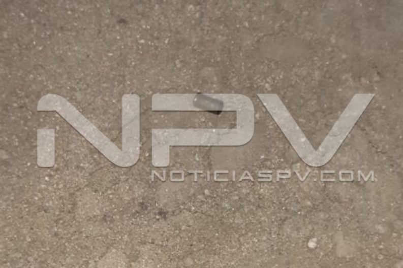 Seguridad Bahia de Banderas ·6136