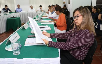 COMUNICADO 1247-Sesión de ayuntamiento (6)