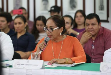 COMUNICADO 1247-Sesión de ayuntamiento (8)